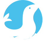 MySQL Master